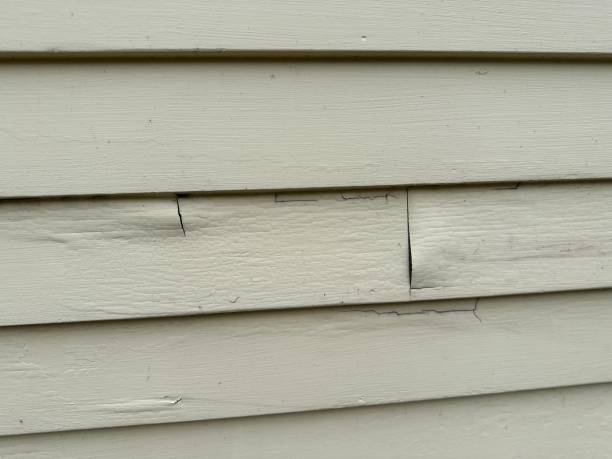 Best Custom Trim and Detailing for Siding  in Aurora, TX